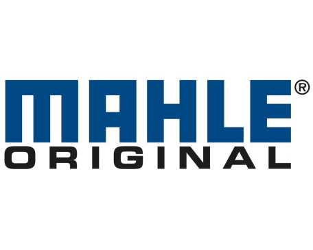 MAHLE